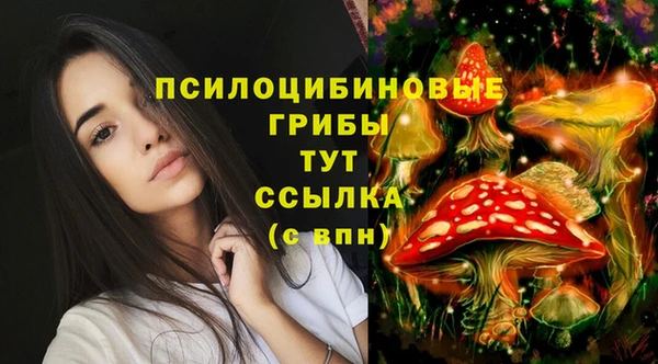 экстази Богданович