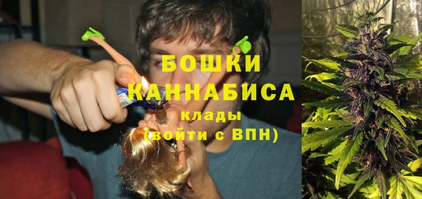 экстази Богданович