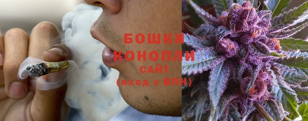 экстази Богданович